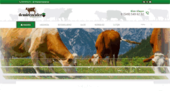Desktop Screenshot of demirezenler.com
