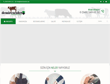 Tablet Screenshot of demirezenler.com